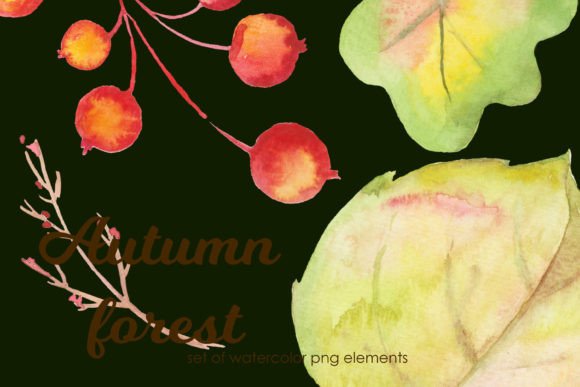 Autumn Leaves and Berries Watercolor Review