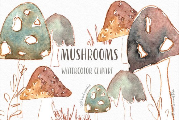 Cute Watercolor Mushrooms Clipart & Illustrations