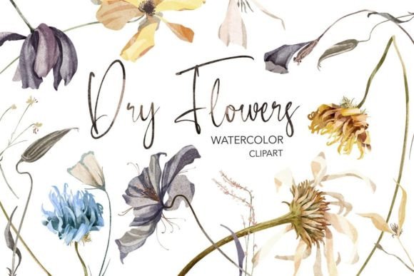 Dry Flowers Watercolor Clipart. Boho Illustrations