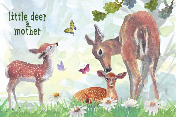 Fawn and Mother Watercolor Clipart Review