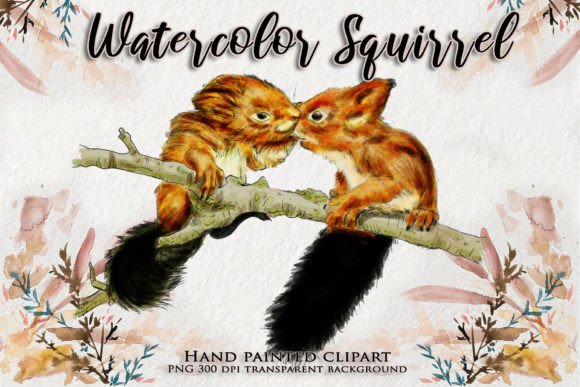 Squirrel Kiss Watercolor Animal Clipart Review