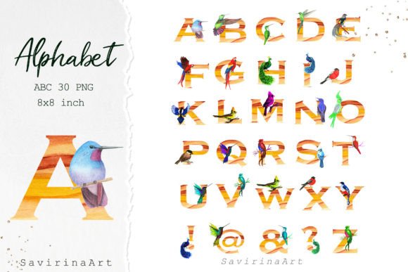 Tropical Bird, Alphabet Watercolor Illustrations