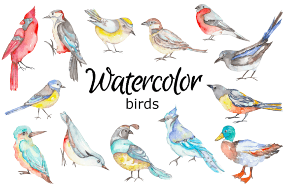 Watercolor Clipart Bird Art Scrapbooking Review