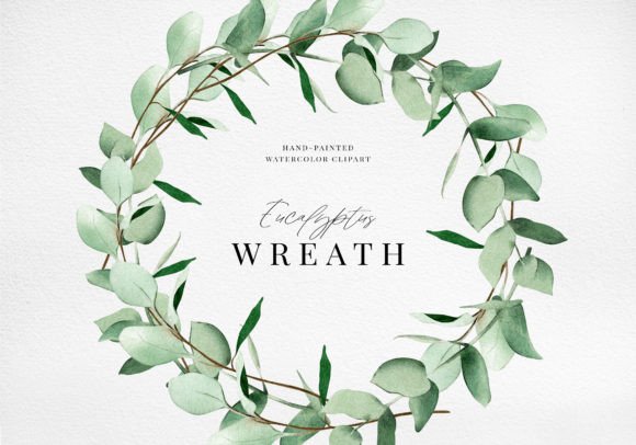 Watercolor Floral Eucalyptus Wreath Png Illustrations