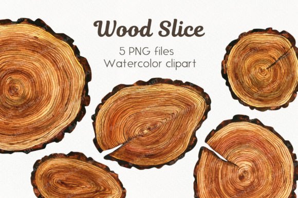 Watercolor Saw Cut Tree Trunk Illustrations