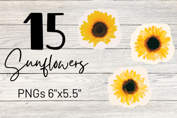 Watercolor Sunflowers Bundle Illustrations Review